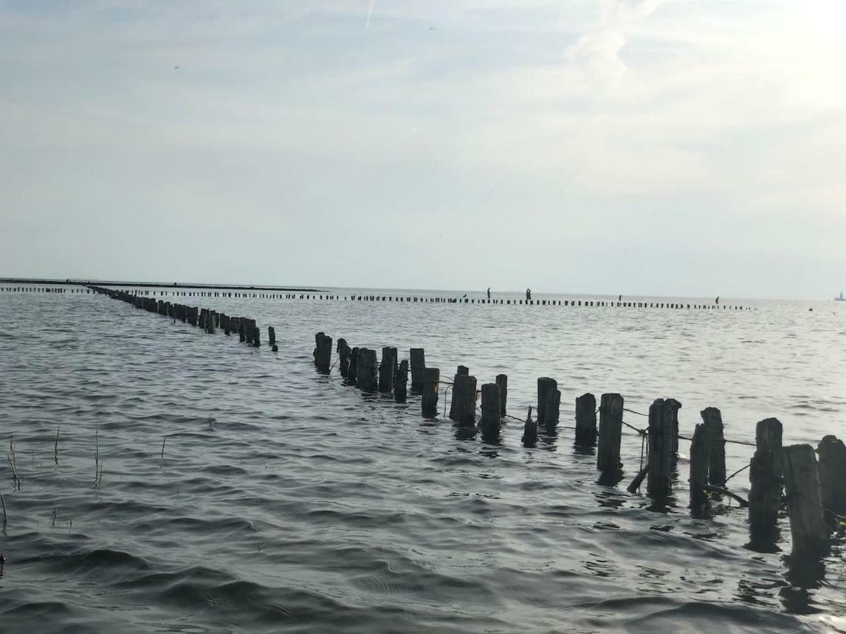 Freundliche Ferienwohnung Direkt Hinter Dem Deich Friedrichskoog Bagian luar foto